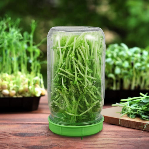 12 Pack Plastic Sprouting Lids for 86mm Wide Mouth Mason Jars, Sprouting Strainer Lid for Canning Jars, Suit for Grow Bean Sprouts, Alfalfa, Salad...