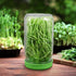12 Pack Plastic Sprouting Lids for 86mm Wide Mouth Mason Jars, Sprouting Strainer Lid for Canning Jars, Suit for Grow Bean Sprouts, Alfalfa, Salad...