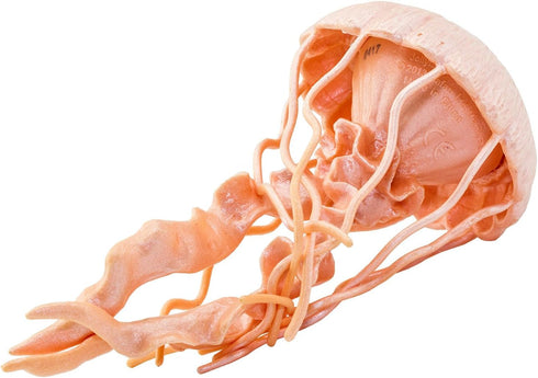 Safari Ltd. Jellyfish Figurine - Detailed 5" Plastic Model Figure - Fun Educational Play Toy for Boys, Girls & Kids Ages 3+...