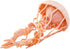 Safari Ltd. Jellyfish Figurine - Detailed 5" Plastic Model Figure - Fun Educational Play Toy for Boys, Girls & Kids Ages 3+...