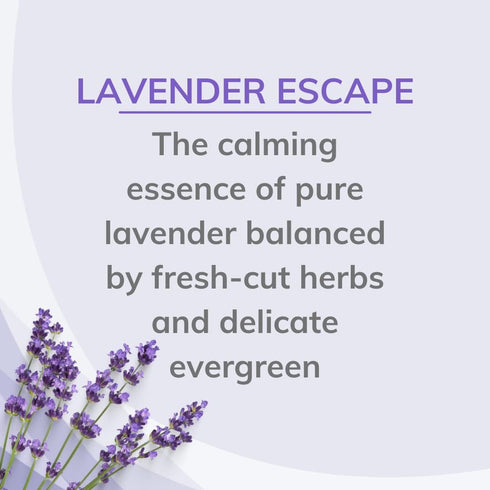 Citrus Magic, Lavender Escape, Natural Odor Eliminating Air Freshener Spray, 3-Ounce, 3 Fl Oz (Pack of 3), 3 Count...