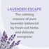Citrus Magic, Lavender Escape, Natural Odor Eliminating Air Freshener Spray, 3-Ounce, 3 Fl Oz (Pack of 3), 3 Count...