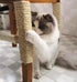 Cat Climbing Toys Tower Structures Cat Climber Tree Post Shelves Multilayer Platform Super Long Large Cat Climbing Tree Cat Tree Furniture Scratch...