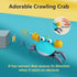 control future Crawling Crab Baby Toy - Infant Tummy Time Toys 3 4 5 6 7 8 9 10 11 12 Babies Boy 3-6 6-12 Learning Crawl 9-12 12-18 Walking Toddle...