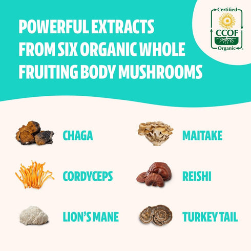 FreshCap Ultimate Mushroom Complex - Lions Mane, Reishi, Cordyceps, Chaga, Turkey Tail, Maitake - Immune Support & Nootropic Brain Supplements for...