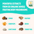FreshCap Ultimate Mushroom Complex - Lions Mane, Reishi, Cordyceps, Chaga, Turkey Tail, Maitake - Immune Support & Nootropic Brain Supplements for...