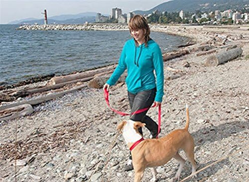 RC Pets 3/4" x 6 ft Primary Collection Dog Leash, Red...