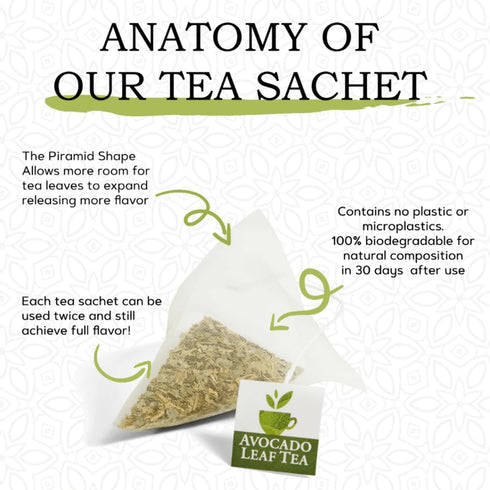 Avocado Leaf/Chamomile Tea – Caffeine-free, Herbal Tea | Immune Support | Cold Brew or Hot Tea | 15 Tea Bags - 30 Servings (Gluten Free & Non-GMO)...