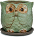Dahlia 4" Speak No Evil Owl Handmade Ceramic Succulent Planter/Plant Pot/Flower Pot, Green...