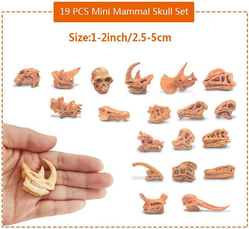 19 PCS Mini Mammal Skull Set Realistic Dinosaur Bones Prehistoric Animals Head Skeleton Playsets Ancient Daeodon Mastodon Collection Figures Model...