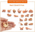 19 PCS Mini Mammal Skull Set Realistic Dinosaur Bones Prehistoric Animals Head Skeleton Playsets Ancient Daeodon Mastodon Collection Figures Model...