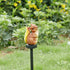 Squirrel Garden Decor Solar Lights Outdoor Stakes Decorative Statue Patio Yard Lawn Porch Housewarming Cute Animal Figurines Ornaments Pathway Res...