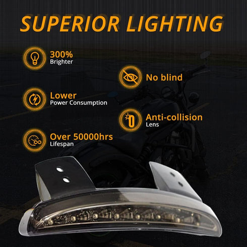 DREAMIZER Motorcycle Brake Tail light Fender Edge LED Lamp with Turn Siganls Compatible with Sportster XL883N 1200N XL1200V XL1200X Cafe Racer Cho...