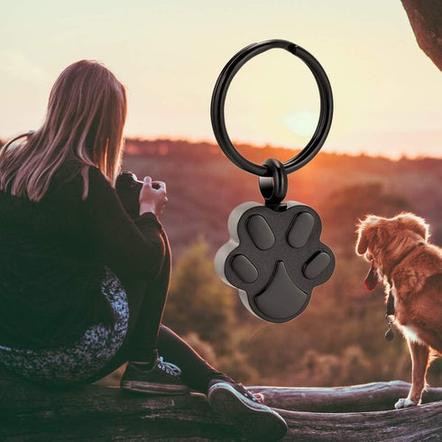 shajwo Cremation Jewelry Urn Keychain for Pet Human Ashes Dog Cat Keepsake Memorial Urn Keychain Ash Holder for Women Men...