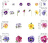 Pansy Flowers Wall Stickers DIY Floral Wall Decals Art Decor for Kids Girls Bedrooms Living Room...