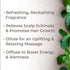 Plant Therapy Peppermint Essential Oil 100% Pure, Pre-Diluted Roll-On, Natural Aromatherapy, Therapeutic Grade 10 mL (1/3 oz)...