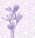 Sizzix Layered Reusable Crafts 4PK Geo Flowers by Olivia Rose | 664917 | Chapter 4 2022 Stencils, Mulitcolour...