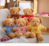 Teddy Bear Stuffed Animal, Soft Cuddly Teddy Bear Plush Toy, Birthday Christmas Valentine’s Day Gift for Kids Girlfriend (Red-B,11.8inch)...