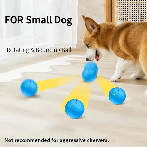 Smart Interactive Dog Toys Ball, Auto Moving Bouncing Rotating Ball with 2 Modes, USB Rechargeable, 56mm in Diameter for Small Dog, Fun Gift for B...