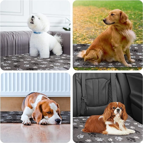 Waterproof Dog Blanket, Pattern Printing Super Soft Warm Fluffy Facecloth Sofa Car Bed Protector, Urine Proof Washable Outdoor Pet Blanket for Pup...