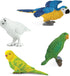 Safari Ltd. Exotic Birds TOOB - 10 Figurines: Parakeet, Quetzal, Macaw, Hummingbird, Toucan, Cockatoo, Flamingo, Snowy Owl, Parrot - Educational T...