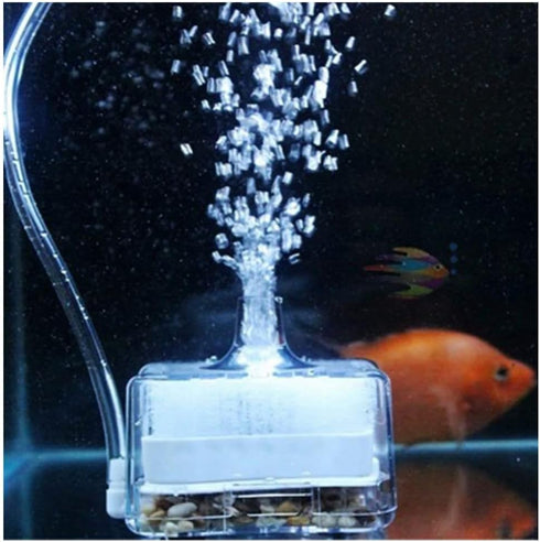 Fish Tank Filter Aquarium Sponge Filter Quiet Small Filter for 1-20 Gallon Aquariums Detachable with Activated Carbon and Air Stone (Air Pump not ...