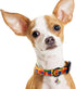 Faygarsle Dog Collar for Small Medium Large Dogs Colorful Puppy Collars for Female Dogs Toy Building Blocks Patterned Pet Collars for Summer Sprin...