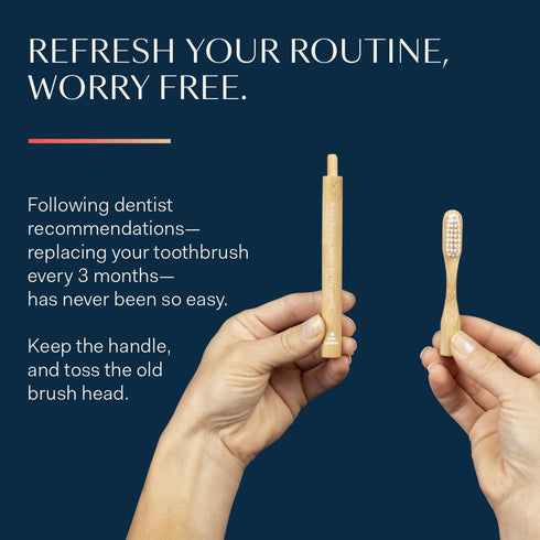Better & Better Natural Bamboo Toothbrush | Soft Bristles | 100% Plant-Based | Reusable Handle and Replaceable Brush Head | Eco-Friendly, Zero Pla...