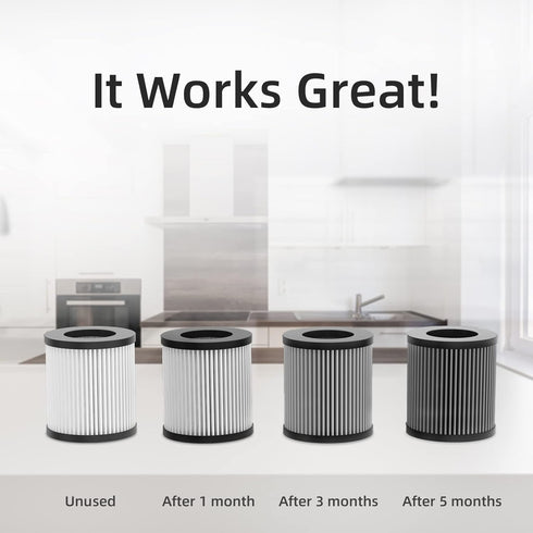 H13 True HEPA Filter for Airfeel Car Air Purifier F011...