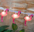 SUNSGNE Pink Flamingo Lights - Pink Party String Lights - Cute Fun Flamingo Decor for Indoor Home Bedroom Birthday...