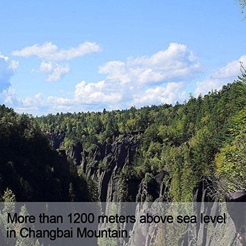 Wananfu Schisandra Berry Dried 4oz, Schizandra Berries for Tea, Wuweizi (????)...