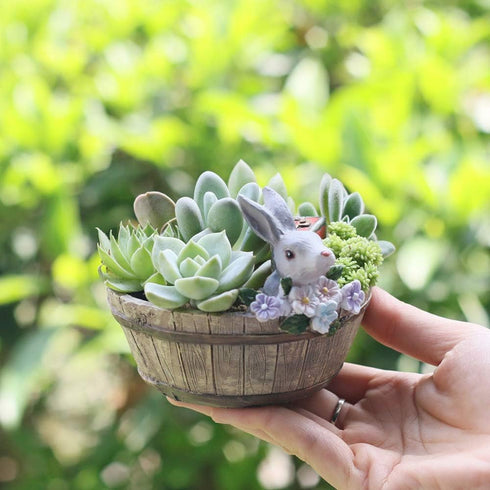 ChezMax Succulent Planter Rabbit Shaped Flowerpot Plant Pot Resin Vase Container Home Garden Decorative...