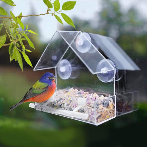 Window Bird Feeder, Bird House for Outside with 2 Rod, Small Acrylic Window Bird Feeder with Strong Suction Cups and Drain Holes 5.9 * 2.4 * 5.9 i...