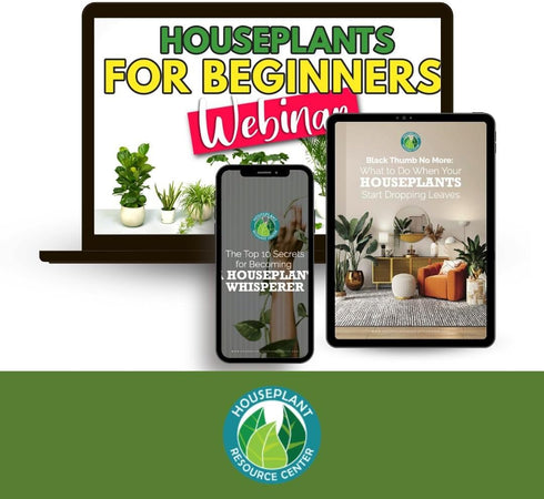 Leaf Cleaner Wipes for House Plants - Sparkling Leaf Shine for Indoor Plants Plant Cleaning Wipes for Leaves - Root and Plant Duster Wipes (30 Cou...