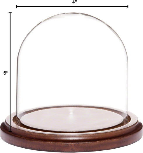 Plymor 4" x 4" Glass Display Dome Cloche (Walnut MDF Base)...