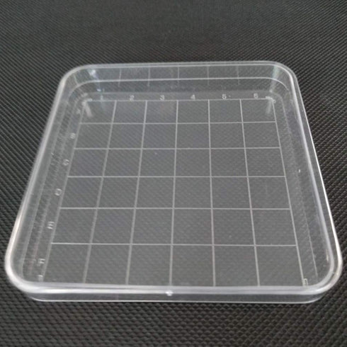 Scicalife 10 Sets Square Petri Dish with Lids, Plastic Material, Container for School Lab Science Experiment...