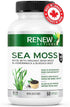 Renew Actives Sea Moss Capsules - Premium Triple-Action Antioxidant Blend with BioPerine for Ultimate Absorption - Organic Irish Sea Moss, Bladder...