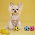 Squeaky Dog Ball - Soft Latex Rubber Squeaky Dog Toys for Small Dogs Puppies - Cute Bounce Dog Squeak Toys Play Fetch Soccer Ball...