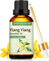 Ylang Ylang Essential Oil 3.38 oz, 100% Pure Ylang Ylang Aromatherapy Oil for Diffuser, Perfumes, Massage, Soap Making...