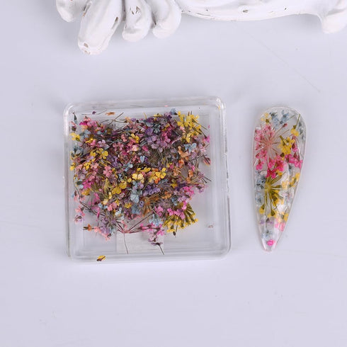 3D Dried Flower for Nails, Flower Nail Art Stickers 1Box Mixed Dried Flowers for Nail Art Resin DIY Crafts Natural Real Dry Flower Decals for Spri...