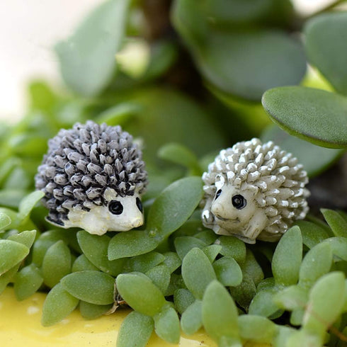 MAOMIA 36 Pcs Mini Hedgehog Figurines, Fairy Garden Hedgehog Miniature Figurines Moss Landscape DIY Terrarium Crafts Ornament Accessories Outdoor ...