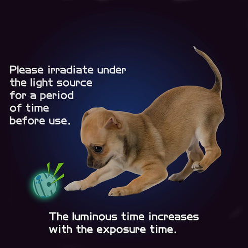 Small Dog Ball, Interactive Dog Toys Ball,Squeaky Dog Toys Ball,Glow in The Dark Ball for Training Teeth Cleaning Herding Balls Indoor Outdoor Saf...