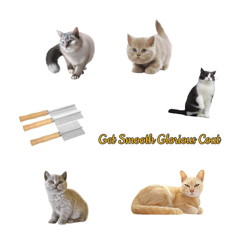 Professional Metal Dog Grooming Comb | 3 PCS Wooden Handled Pet Comb for Dogs and Cats | Removes Tangles, Dematting, Detangling | Great for Matted...