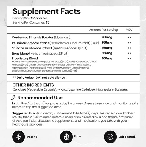 ACEWORKZ 10 Mushroom Complex Supplement - Lion’s Mane, Reishi, Cordyceps & More - Brain Health, Memory & Focus Nootropic - Energy & Immune Support...