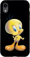 iPhone XR Looney Tunes Tweety Bird Airbrushed Case...
