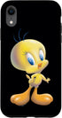 iPhone XR Looney Tunes Tweety Bird Airbrushed Case...
