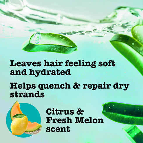 Maui Moisture Heal & Hydrate + Shea Butter Shampoo + Conditioner to Repair & Deeply Moisturize Tight Curly Hair with Coconut & Macademia Oils, Veg...