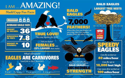 Madd Capp Puzzles - I AM Eagle - 550 Pieces - Animal Shaped Jigsaw Puzzle...