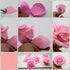 KALAIEN Rose Flower Cutters Set Gumpaste Flowers Modelling Tools for Cake Decorating Cookie Mold Sugarcraft Plunger Cutter Mold Set of 6...