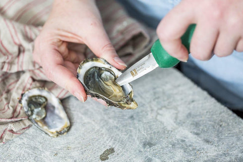 R. Murphy/Ramelson Duxbury Oyster Knife - As Seen in Bon Appetit Magazine - Shellfish Seafood Clam Shucker Tool - Made in USA...